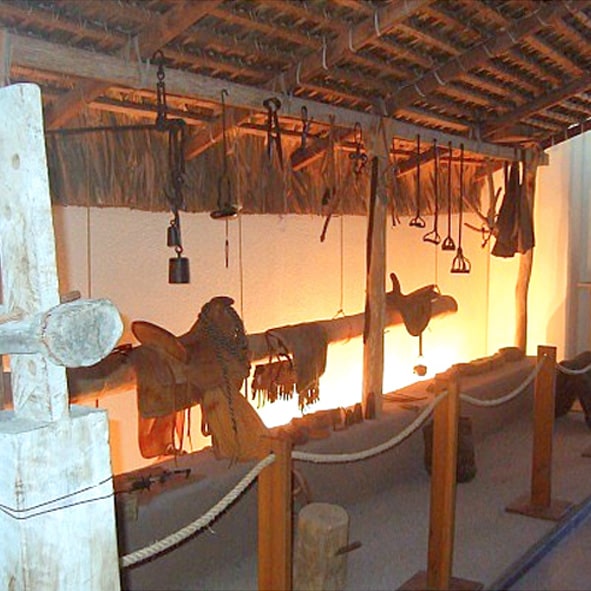 Visitar el Museo Regional de Antropología e Historia – LA PAZ, MUSEOS